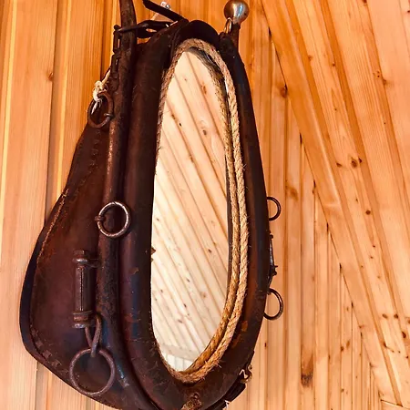 1000m Npm Апартаменты *