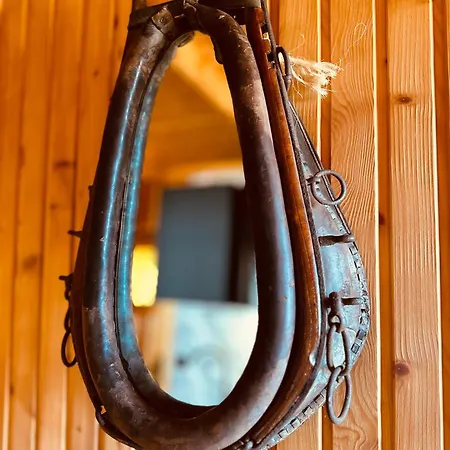 1000m Npm Мужасихле